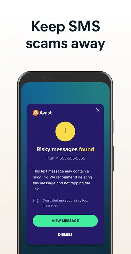Avast Antivirus 4_result