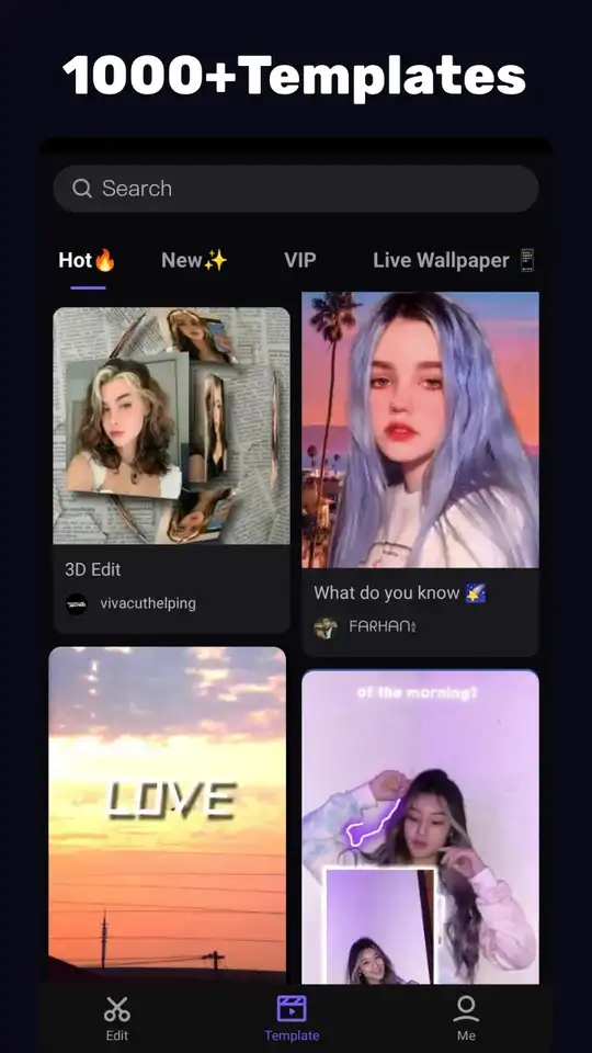 VivaCut 2_result