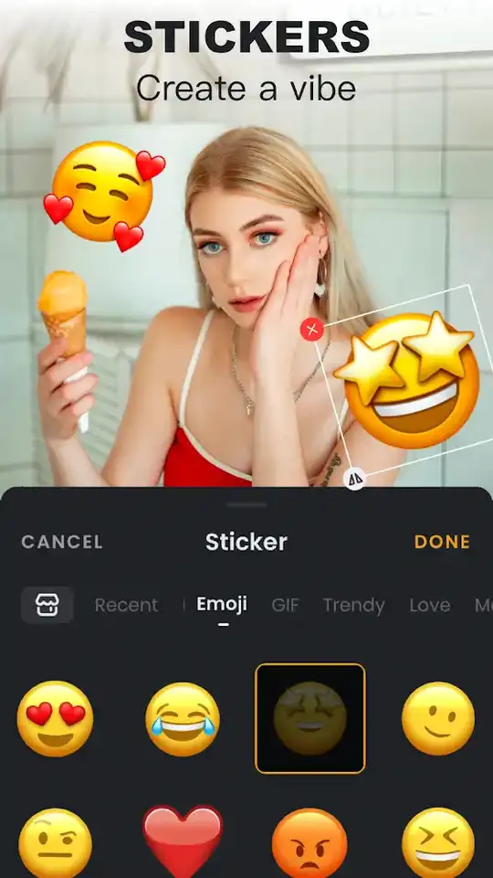 VivaVideo Pro 4_result