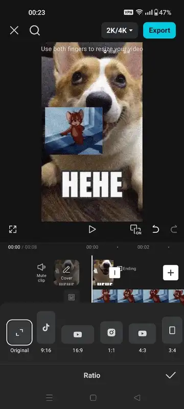 Screenshot